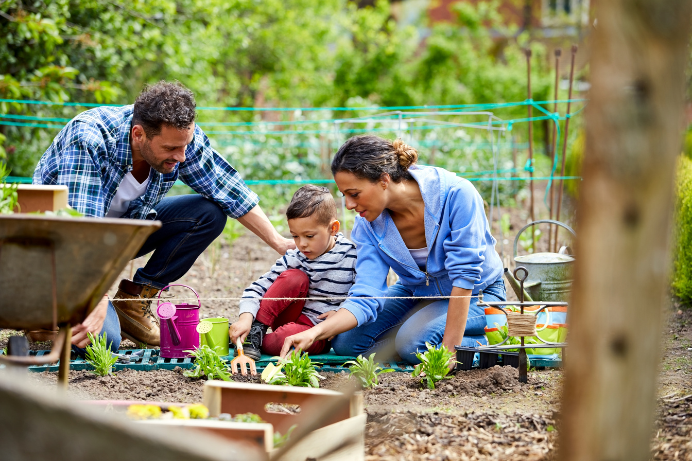 Family gardening in backyard garden